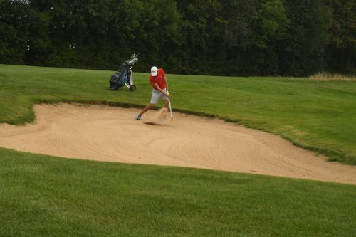 8bd97e64-4e01-4e14-87b7-3246bac16f08