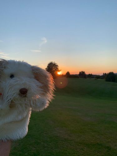 whatsapp-image-2020-09-06-at-180429-1