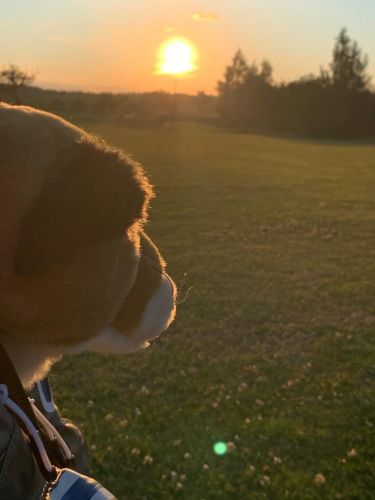 whatsapp-image-2020-09-06-at-180429